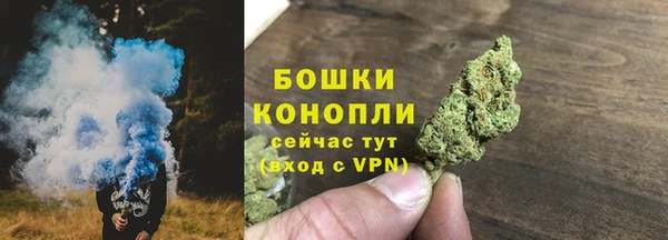 тгк Нея