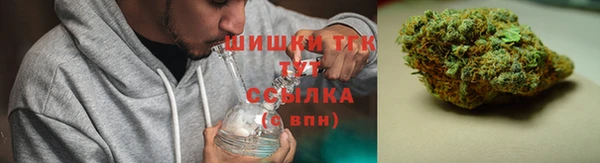 тгк Нея