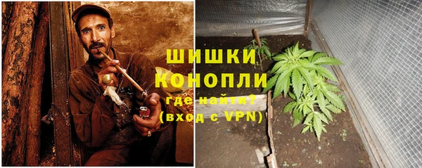дживик Белая Холуница