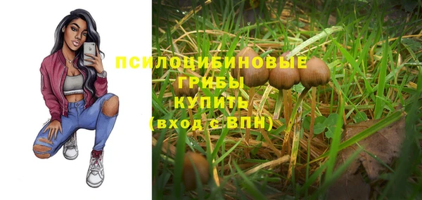 меф Нефтегорск