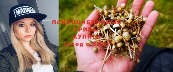 меф Нефтегорск