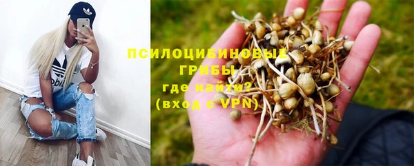 меф Нефтегорск